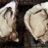 広島県のおすすめ牡蠣食べ放題のお店まとめ12選【ランチや安い店も】